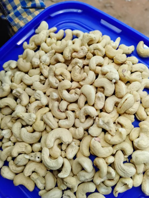 BANSWARA W180 CASHEWS WHOLESALER IN GOOD QUALITY