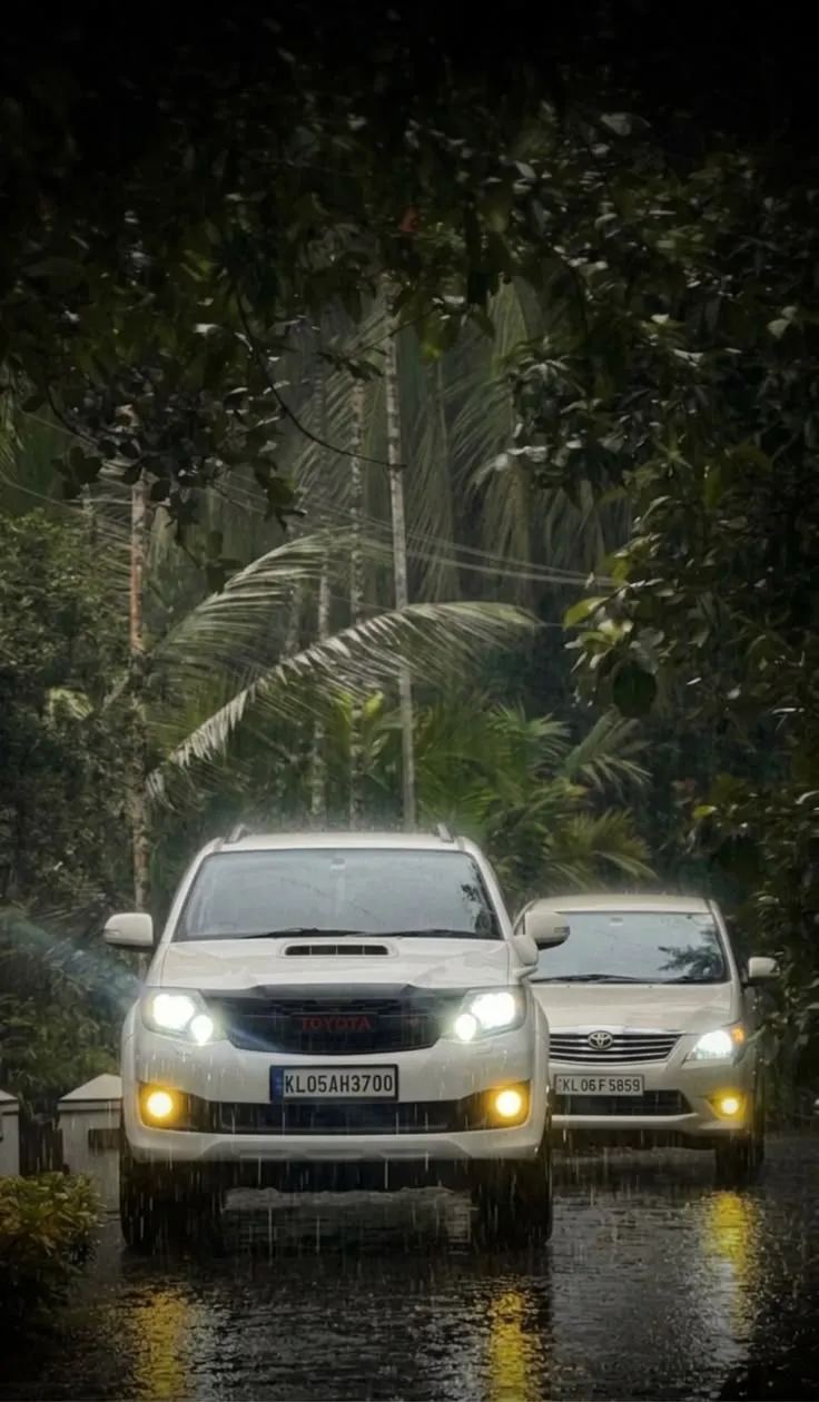 ms car rental 