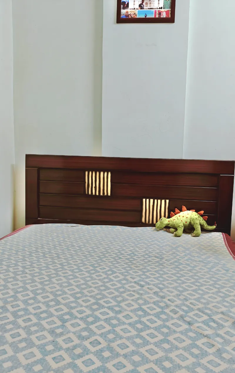 Queen size double bed with storage  - Furniture & Household Items in Bengaluru Urban for ₹8000