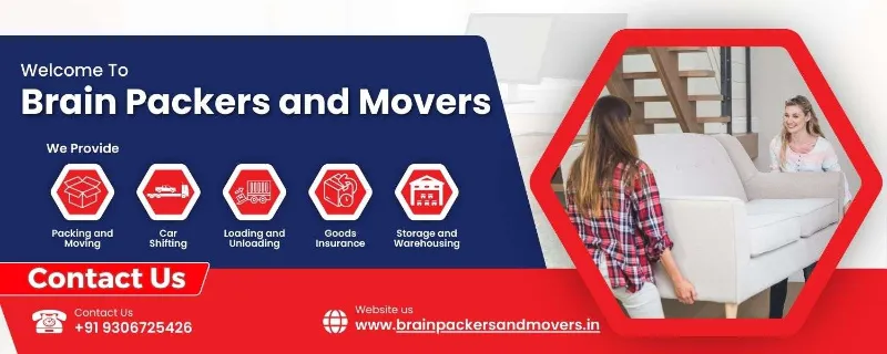 Brain Packers and Movers