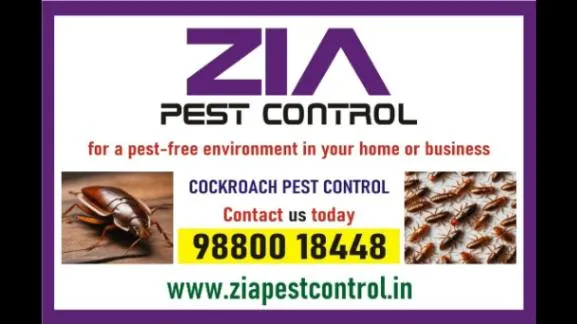 Cockroach Service | Office and Residence service Provided | Call Now |