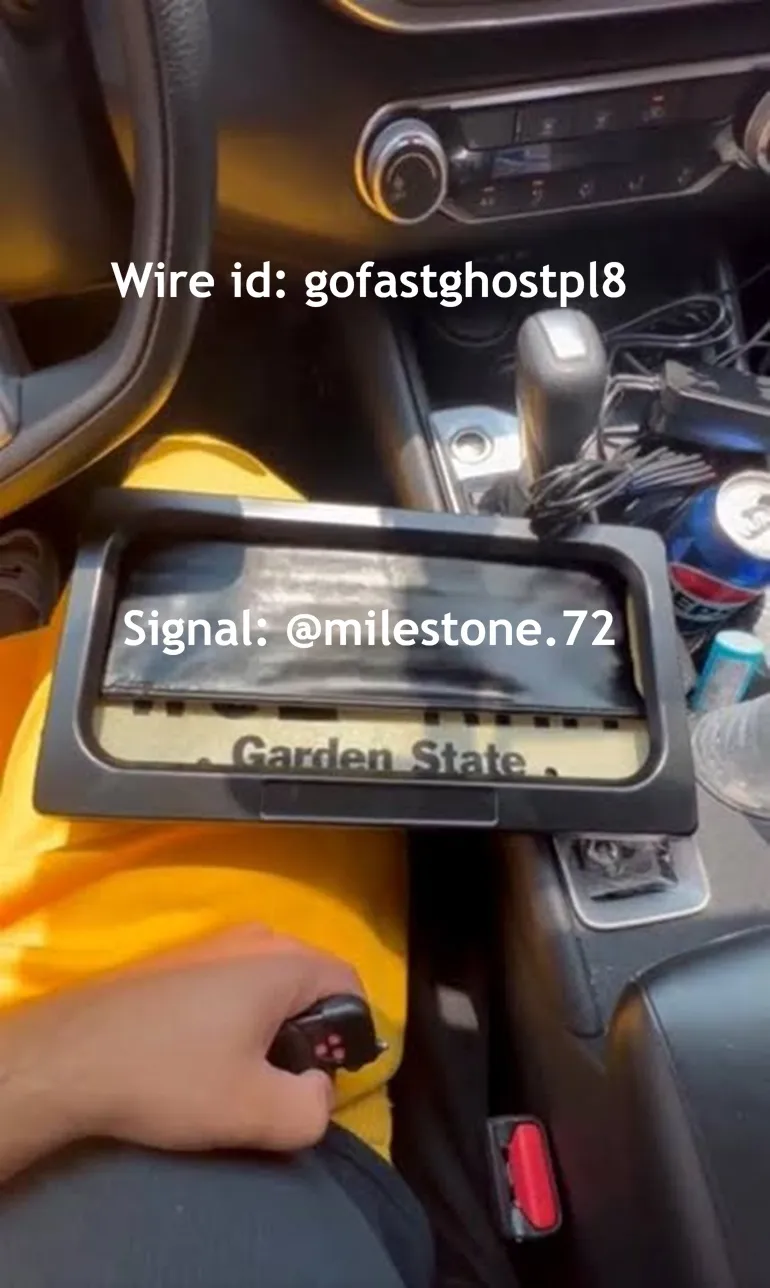 Buy Active Blackout License Plate Cover