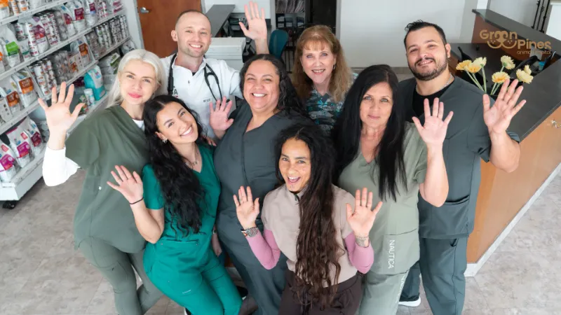 Pembroke Veterinary Clinic | Compassionate Pet Care at Green Pines Ani