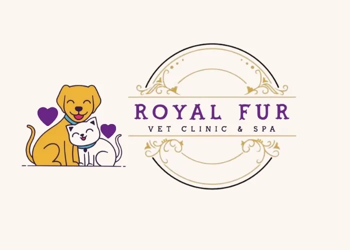 Senior Pet Care in Kolkata: Keeping Older Dogs and Cats Comfortable and Healthy - Others in Kolkata