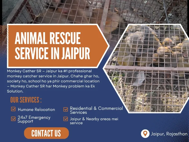 Safe & Professional Assistance Monkey Catcher Service MonkeyCather SR - Others in Jaipur for ₹0