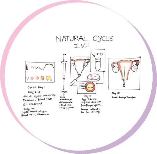 best ivf center in ahmedabad