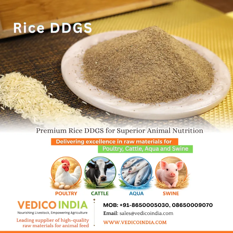 Vedico India – Trusted Feed Ingredients Supplier for Poultry, Cattle, 