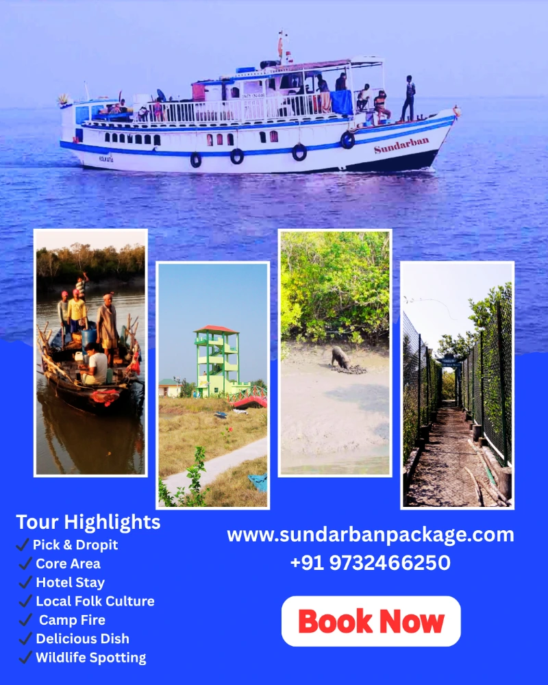 Sundarban Hilsa Festival Tour