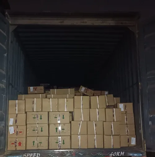 Brain Packers and Movers