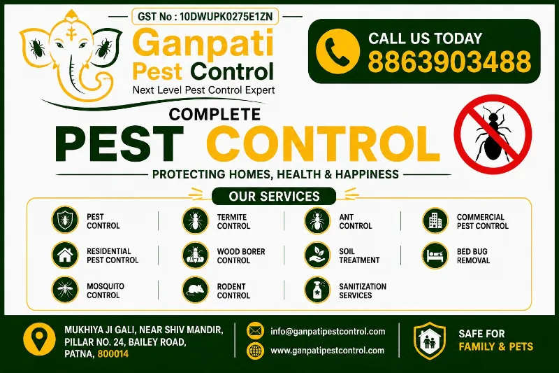 Ganpati Pest Control – Best Pest Control Services in Patna