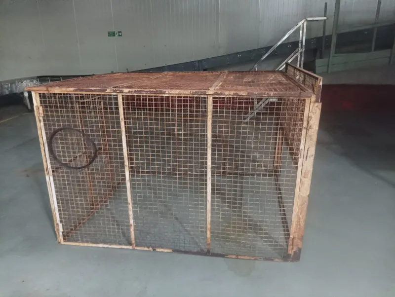  Safe & Professional Assistance Monkey Catcher Service MonkeyCather SR