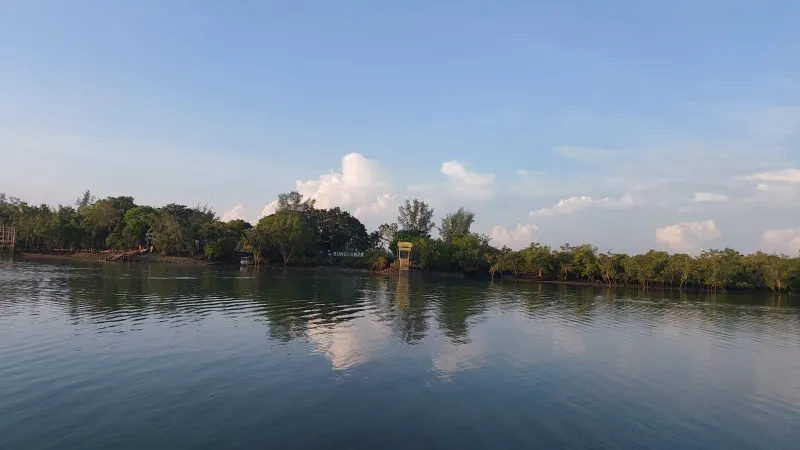 The Best of Sundarban Wildlife Photography 