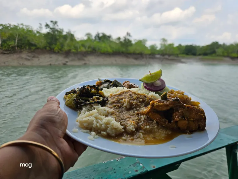 The Best of Sundarban Wildlife Photography 
