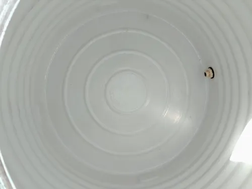 Water Tank Cleaning Services in Ahmedabad