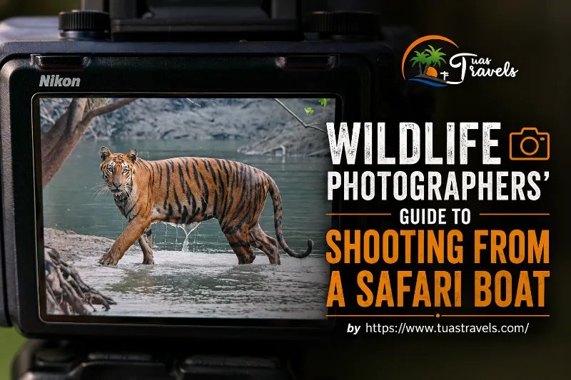The Best of Sundarban Wildlife Photography 
