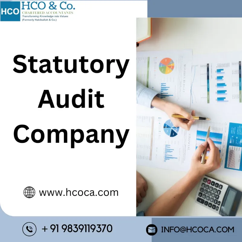 How Can a Statutory Audit Company Improve Financial Transparency?