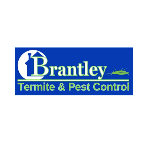 Complete Pest Control Services
