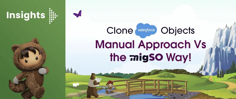 Clone Salesforce Objects- MigSO