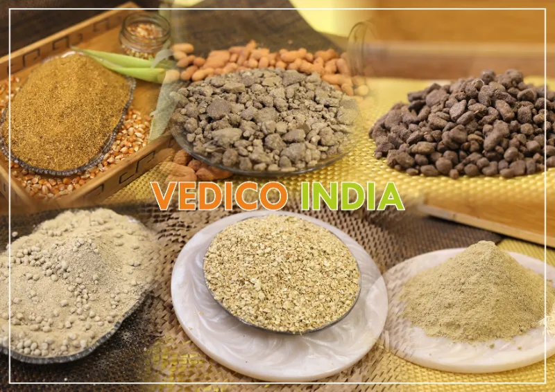 Vedico India – Trusted Feed Ingredients Supplier for Poultry, Cattle, 