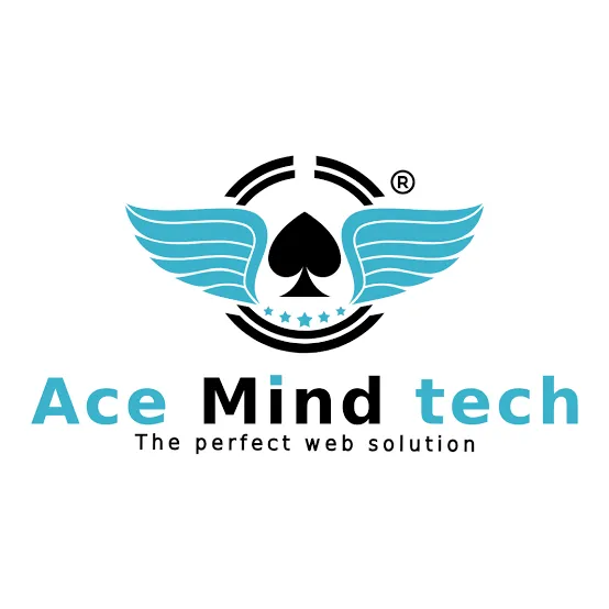 Best Website Designers in Vaishali | AceMindTech - Top Web Design Comp