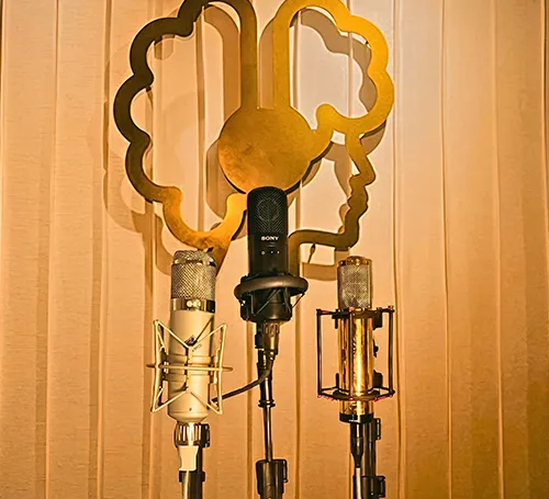 Telefunken Mic Recording Studio in Mohali & Chandigarh | Elahi Music 