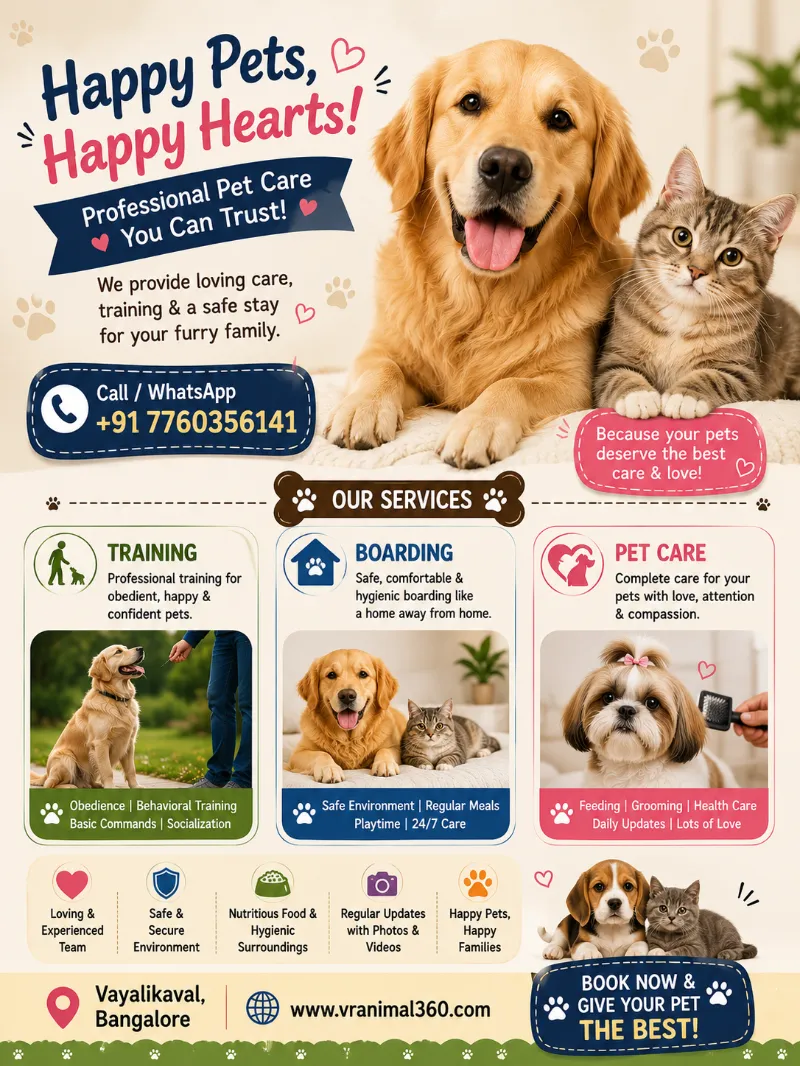 Dog and Cat Training for Better Behaviour - Others in Bengaluru Rural for ₹1