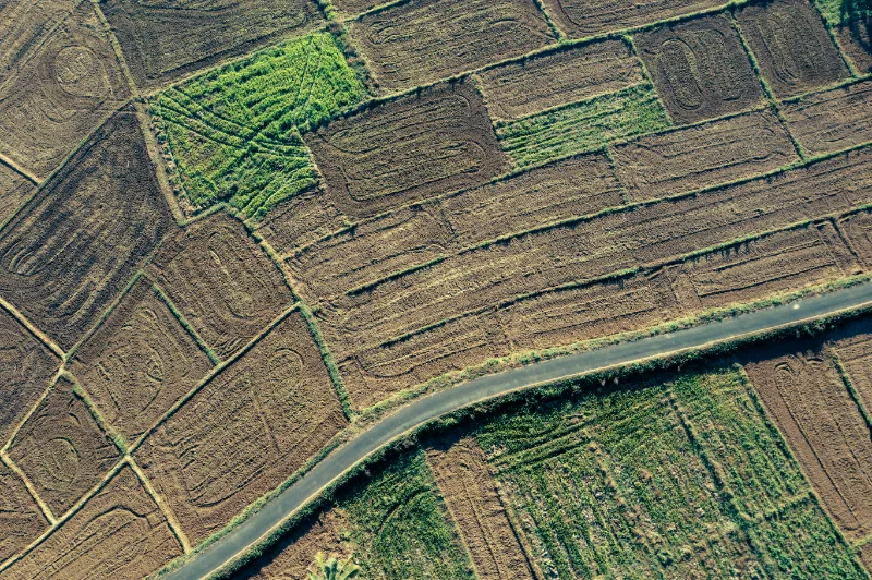 Realestate Agency’s in Nellore,A.P ☎: +91-7569732356